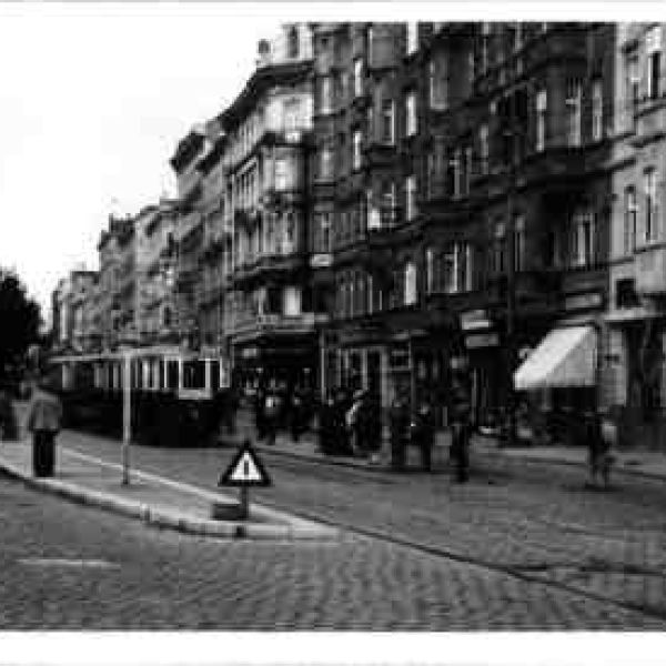 Historical photographs from the Austrian National Library